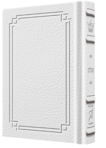 Picture of Tehillim / Psalms 1 Vol Pocket Size -- Hand-tooled Yerushalayim White Leather