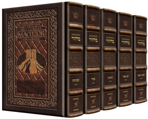 Picture of Ashkenaz - Yerushalayim 2-Tone Leather Schottenstein Ed. Interlinear 5 Vol SET